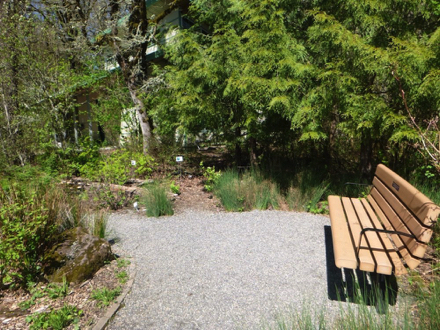 Native plant garden in plaza with compact gravel path - signs for native plants - bench with side rail